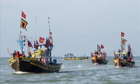Bình Thuận: Phục dựng Lễ hội Cầu ngư ở ngôi vạn thờ 100 bộ xương cốt Cá Voi 