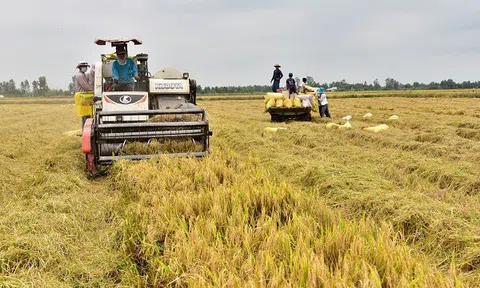 Kiên Giang: Tạo thuận lợi trong lưu thông, tiêu thụ sản phẩm nông nghiệp