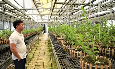 Nghệ nhân Trương Quốc Chính chia sẻ về xu hướng phát triển thị trường hoa lan hậu COVID19