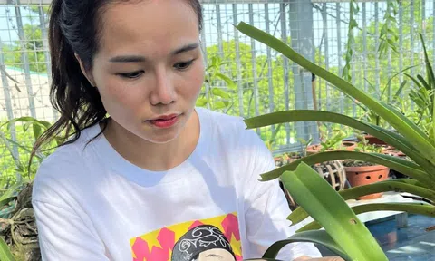 Kinh nghiệm phát triển hoa lan của Thái Lan và bài học cho Chương trình phát triển hoa lan của Thành phố Hồ Chí Minh