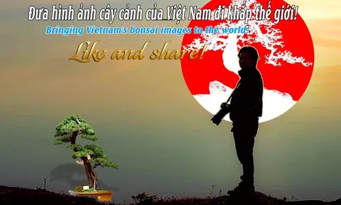 Bộ sưu tập ảnh về Sinh Vật Cảnh của Nguyễn Duy Cường (Phần 1)