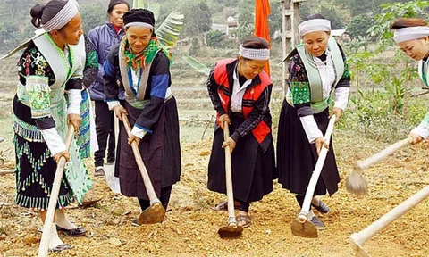 Cần hiểu miền núi và dân tộc