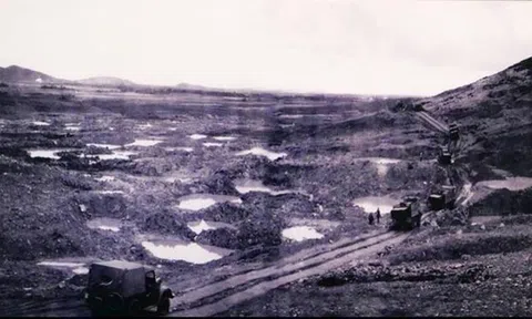 Một lần ăn thịt gà