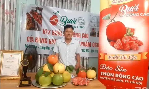 Đặc sản Bưởi đỏ Đông Cao tham gia kết nối tiêu dùng tại Chợ đêm trên mây