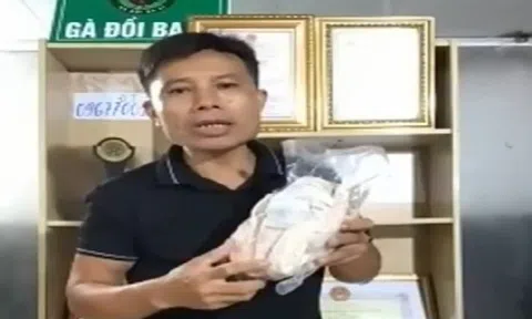 Đặc sản Gà đồi Ba Vì tại Chợ đêm trên mây