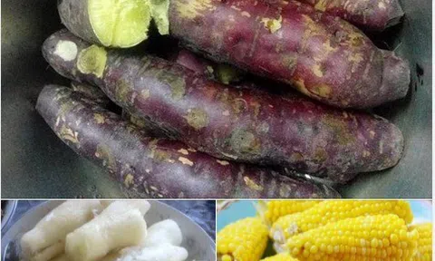 Cảm xúc mùa đông
