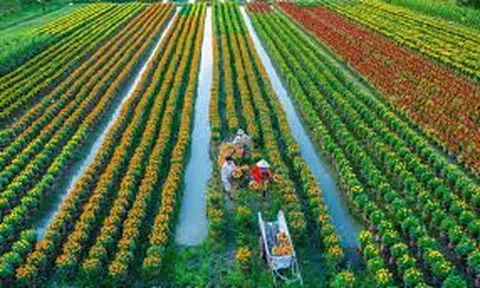 Phát triển nông nghiệp, nông thôn, đáp ứng yêu cầu CNH, HÐH trong bối cảnh hội nhập kinh tế quốc tế