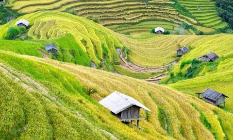 Xu thế phát triển Nông nghiệp Đông Nam Á và Việt Nam đến năm 2030, tầm nhìn 2050