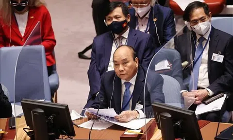 Giới chuyên gia, học giả Séc đánh giá cao phát biểu của Chủ tịch nước Việt Nam tại LHQ