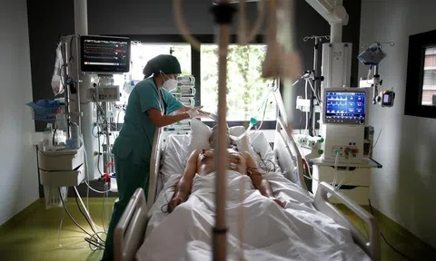 Hy vọng mới từ thuốc viên chống Covid-19