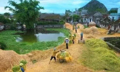 Một lần đùa dại