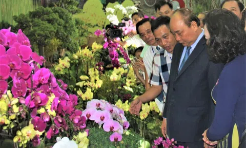 Xu thế phát triển Nông nghiệp Đông Nam Á và Việt Nam đến năm 2030, tầm nhìn 2050 (Phần 2)
