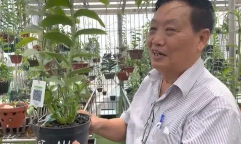 GS. TSKH Trần Duy Quý chia sẻ một số thành tựu khoa học, cải tiến kỹ thuật trong nuôi trồng chăm sóc Lan Đột Biến