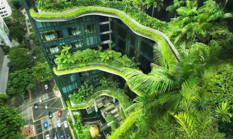 NÔNG NGHIỆP ĐÔ THỊ: Hà Nội cần một tầm nhìn mới!