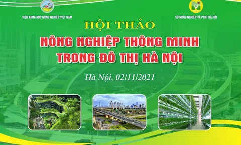 Xu hướng xây dựng đô thị trên thế giới ứng phó với đại dịch Covid-19