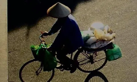 Cậu Câm
