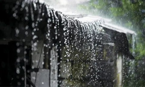 Nước mưa là cưa trời