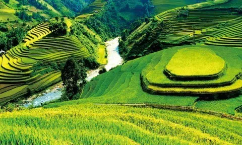 Kinh tế Đông Á Thái Bình Dương với nguy cơ phục hồi thất bại?