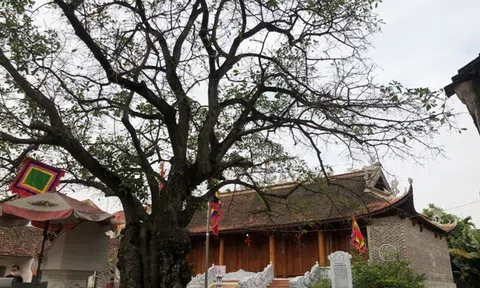 Những đặc trưng của nền văn hóa Việt Nam