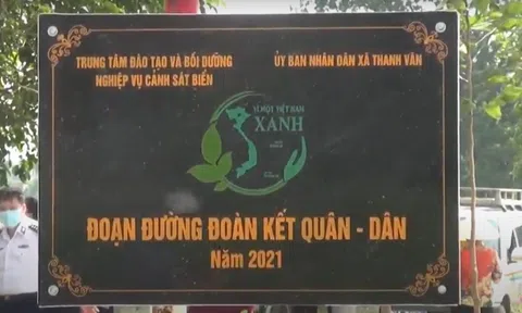 Hà Nội: Trồng mới 250 cây bóng mát trong chương trình Vì Một Việt Nam Xanh