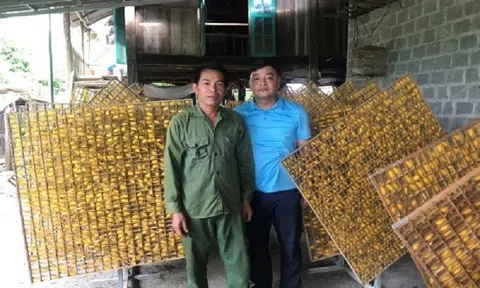 Hướng phát triển kinh tế mới cho người dân tại thị trấn Sơn Thịnh, huyện Văn Chấn
