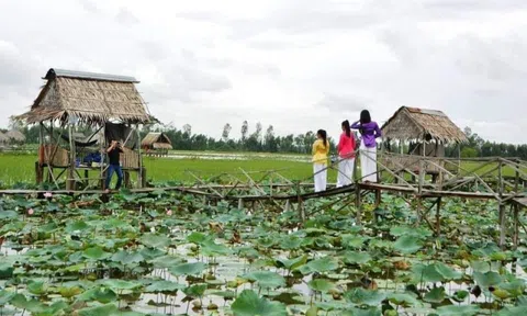 Đồng Tháp Mười