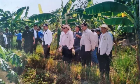 Suy nghĩ về triết lý kinh tế vừa đủ của đức vua Thái Lan Bhumibol Adulyadej