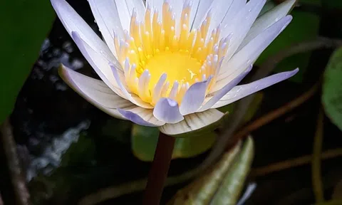 Tạo nghiệp