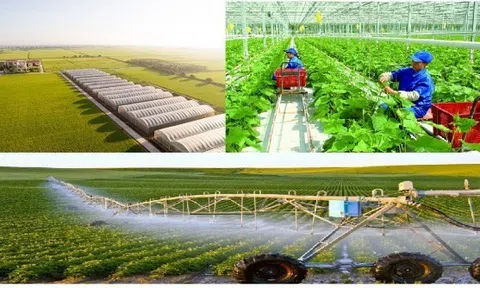 Khoa học Công nghệ Nông nghiệp Việt Nam từ góc nhìn nghiên cứu