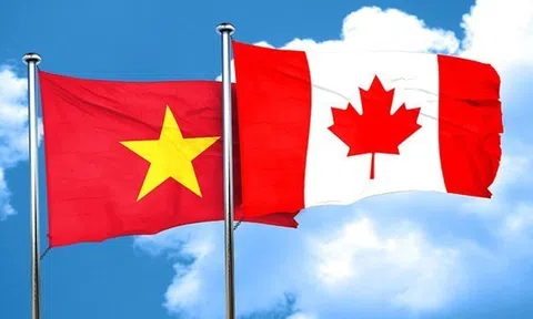 Hợp tác Việt Nam-Canada trong chuỗi cung ứng: Hiện tại và Tương lai