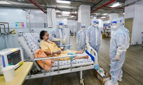 Sáng 15/10: Đã có hơn 785.100 bệnh nhân COVID-19 ở nước ta khỏi; thế giới vượt 240 triệu ca mắc