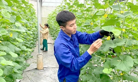 Thực trạng và đề xuất chính sách phát triển nông nghiệp đô thị TP Hà Nội