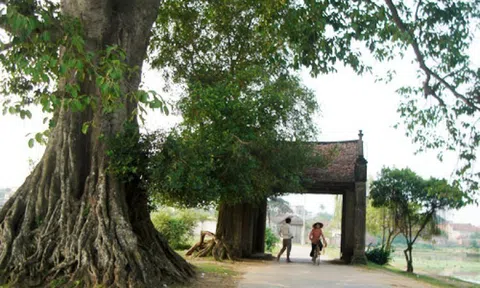      Việt Nam diễn nghĩa – Tập I (Tiểu thuyết lịch sử) (Kỳ 54)