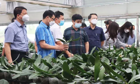 Công nghệ cao gắn với phát triển nông nghiệp đô thị trong quá trình đô thị hóa trên địa bàn Thủ đô