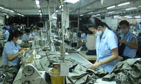 Tập trung khôi phục, phát triển thị trường lao động sau đại dịch COVID-19