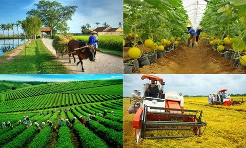 Cơ cấu nông nghiệp và kinh tế nông nghiệp trong công nghiệp hóa và hiện đại hóa đất nước