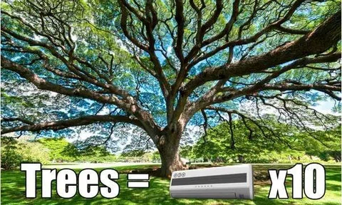 Vai trò của cây xanh đô thị và lợi ích cho cuộc sống của chúng ta