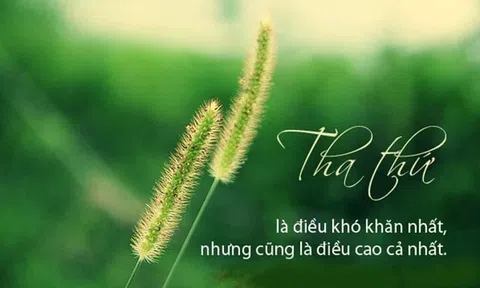 Tha thứ