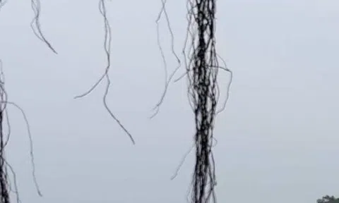 Người làng tôi