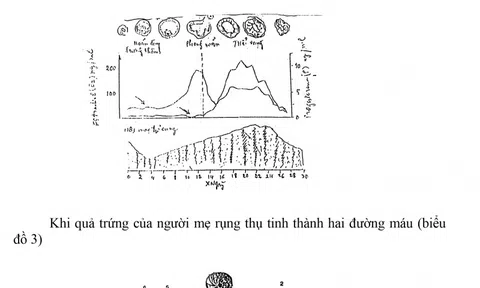 Giải mã hoa văn Thần Đồng Ngọc Lũ