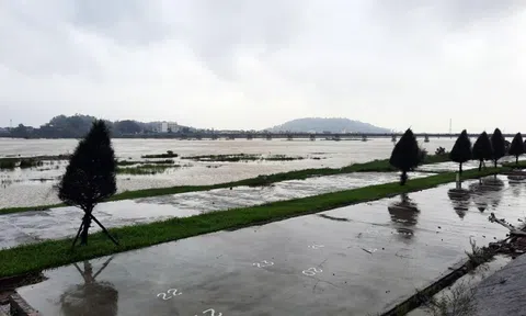 Quảng Ngãi: Mưa lũ lớn gây nhiều thiệt hại tại các địa phương trong tỉnh