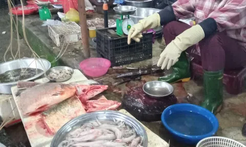 Chợ Nghi Phú