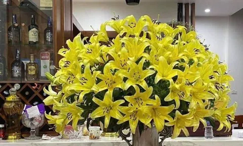 Người dì của bố anh bạn!