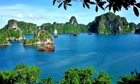 Việt Nam vượt qua Trung Quốc, Ấn Độ, Thái Lan, Singapor để trở thành Điểm đến hàng đầu châu Á 2021