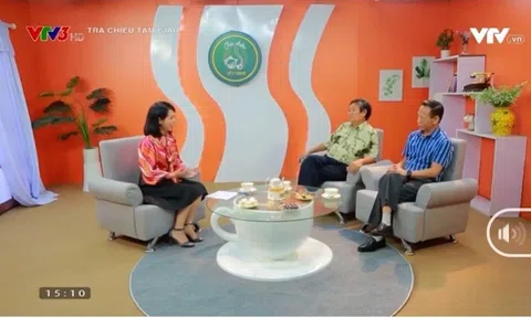 VTV3: Bàn về thú chơi Hoa lan Cây cảnh của người Việt xưa và nay