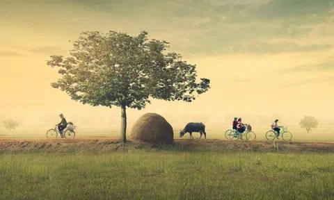 Nỗi đau người mẹ