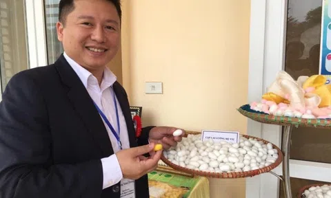 Hội thảo kết nối tiêu thụ sản phẩm kén tằm Yên Bái