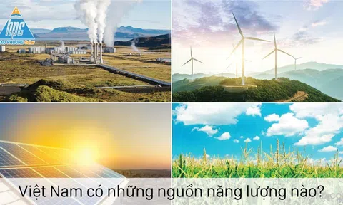 HIỆU QUẢ NĂNG LƯỢNG VIỆT NAM 2021