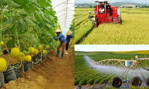 Khát vọng phát triển nông nghiệp Việt Nam theo hướng chuyển đổi mô hình tăng trưởng: Bài 2: Phải thay đổi tư duy của người nông dân