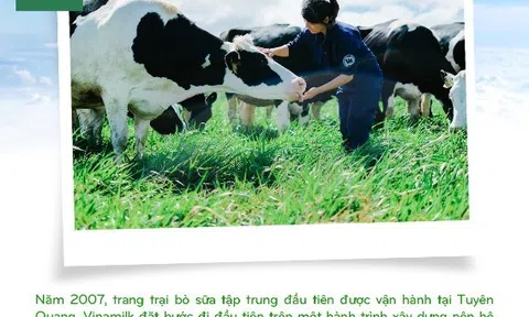 Vinamilk: 15 năm xây hệ thống trang trại bò sữa với “bộ sưu tập” tiêu chuẩn quốc tế
